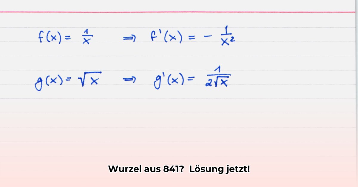 wurzel-aus-841